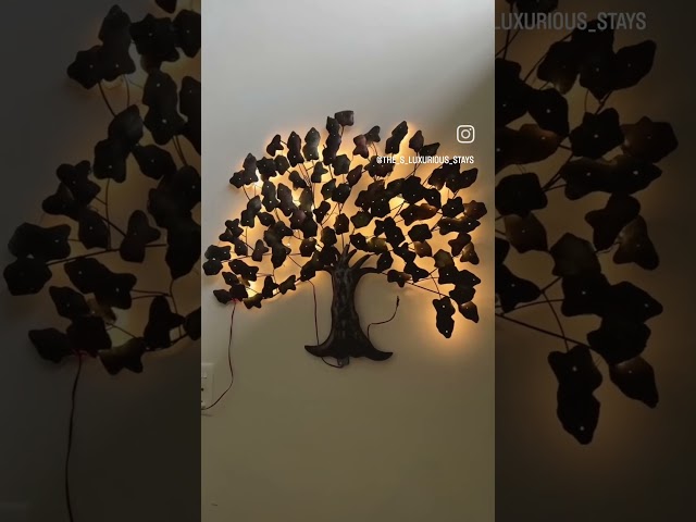 Video 1
