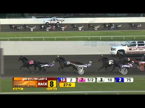 Meadowlands July 11, 2015 - Race 8 - Odds On Equuleus
