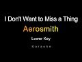 Aerosmith - I Don't Want to Miss a Thing (Karaoke) Lower Key