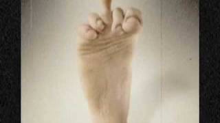 Raul seixas - Não fosse o Cabral