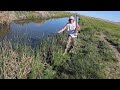 Bowfishing Nevada  #Bowfishing #nevada #englishbulldog DEFAULT Thumbnail