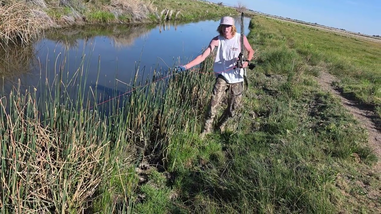 Bowfishing Nevada  #Bowfishing #nevada #englishbulldog