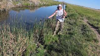 Bowfishing Nevada  #Bowfishing #nevada #englishbulldog MQDEFAULT Thumbnail