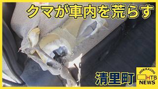 クマが車の中を！　オホーツクの清里町で住宅の敷地内に駐車していた車がクマに荒らされる被害