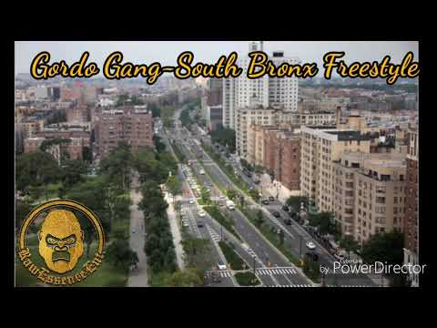 Gordo Gang-South Bronx Freestyle