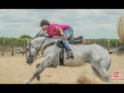 TARCÍSIO DO ACORDEON- SOFRER POR MORENA-(VAQUEIRO DO SERTÃO)