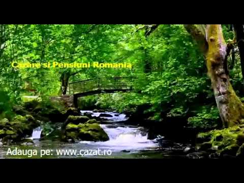 Cazare Borogea, Mehedinti - Cazat.ro