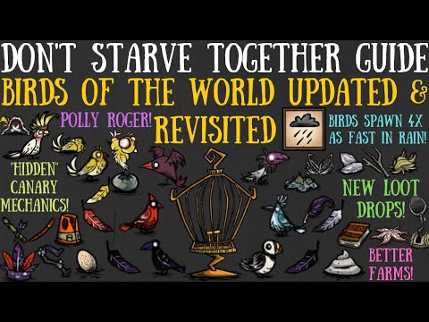 Birds Updated & Revisited! New Types, Crafts, Mechanics & More! - Don't Starve Together Guide