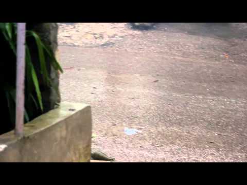 اشتباكات بين عناصر كتيبة الشهيد عبد الحكيم حجازي وقوات النظام في الزرزور