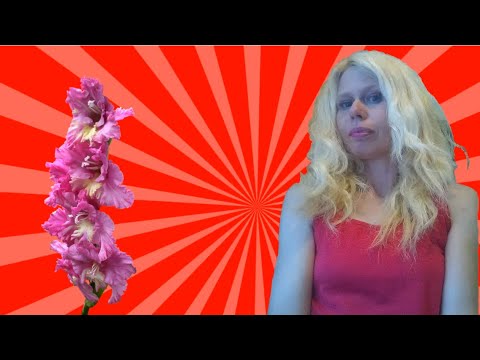 Te am asteptat in  viata mea