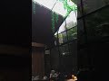 Relaxing and convinient cafe Relaxing and convinient cafe
