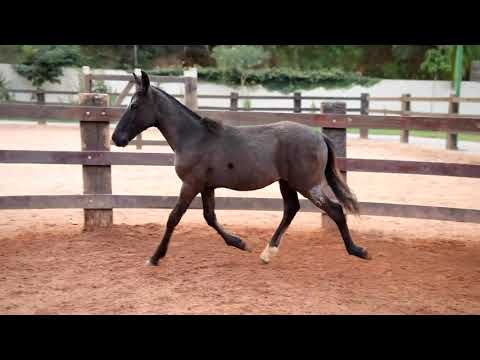 LEID LAURA CRISTO REDENTOR MG