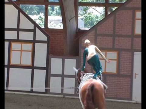 CVI** Krumke 2010 - Sarah Ebling(Kür)