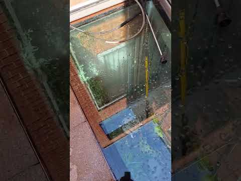 Tito Window Cleaning Services video.