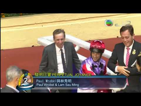 2017/18 (232) - Perpetual Joyance (駿明珍寶) - 杜利萊 (手到拿來左前腿不妥早段已收停)