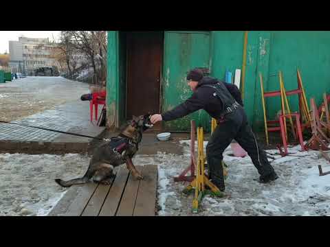 Love & Spirit Flaviana. 13 months old. Protection.