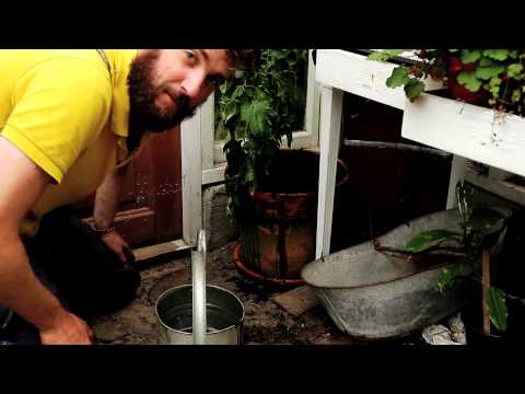 Tre minuter odla tomat