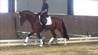 Video von Estelle 98