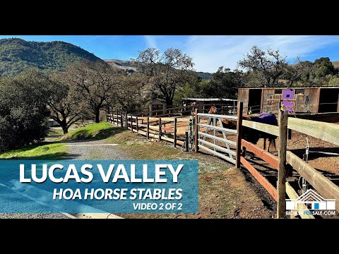 Lucas, Valley Homeowners association horse stables tour: video 2 of 2