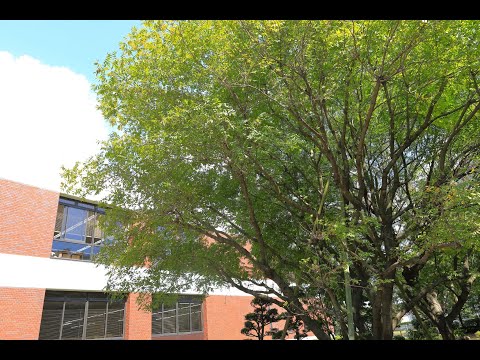 【千葉経済学園】創立90周年記念動画