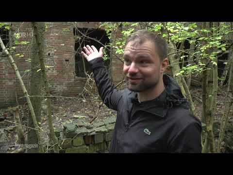 Stadtführer aus Neustrelitz bietet Lost Places Touren an (ndr Nordmagazin)