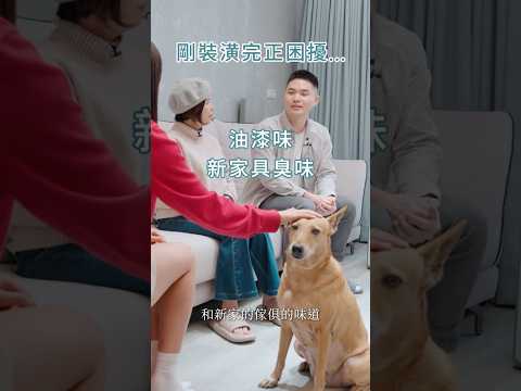 艾美幸福設計有限公司 短影音縮圖