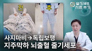 줄기세포 후기