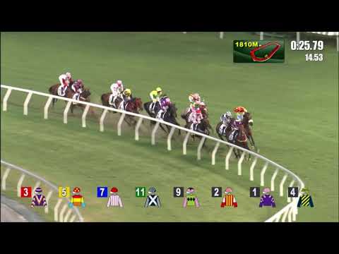 13/7/2022 (818) Amazing Boy - J Moreira