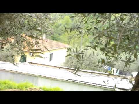 31° Rally della Valdinievole 2015 R. Marchetti - J. Parducci Rover MG ZR 105 A5