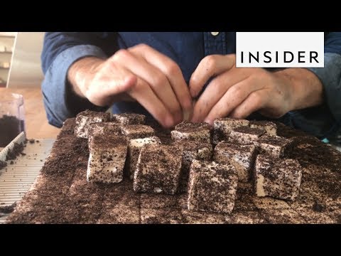 download lagu mp3 mp4 Shop Marshmallow Com, download lagu Shop Marshmallow Com gratis, unduh video klip Shop Marshmallow Com