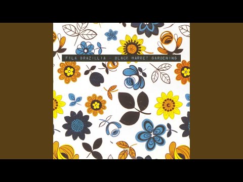 Wigs, Bifocals And Nurishment