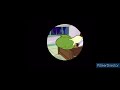 Bok Choy Wailing And Repeatedly Hitting His Head On His Desk