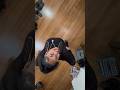 Ceiling Challenge Went Left Real Fast Shorts