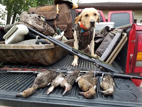 Duck Hunting Season opener