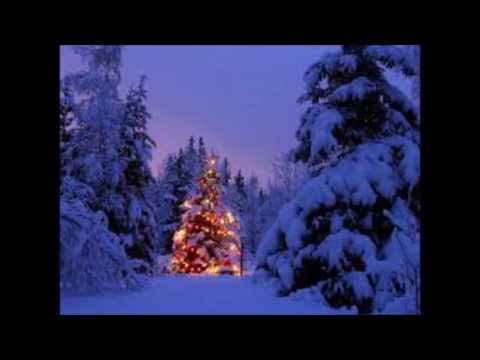 Best of Music Dezember 2016