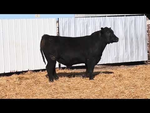 Listing 51768518726-video