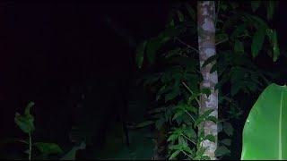 Download lagu MASUK LOKASI POCONG !! mp3 Download lagu MASUK LOKASI POCONG !! mp3