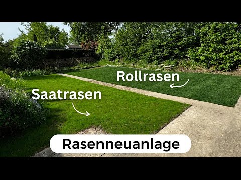 Rasenneuanlage Saatrasen vs Rollrasen (Der große Vergleich)