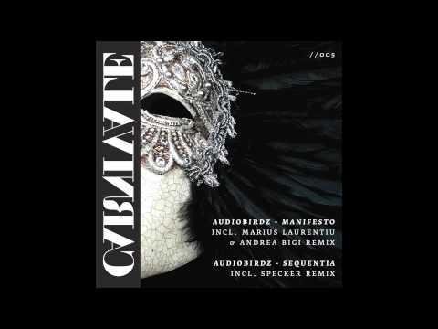 Audiobirdz - Manifesto