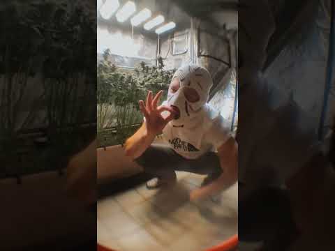 Nehss - #nehsstag (Prod. Prevade) Let Films