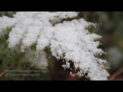 Rice Lake, WI Heavy Snow Falling - 10/14/2018
