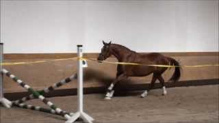 Video of Tassima Coco
