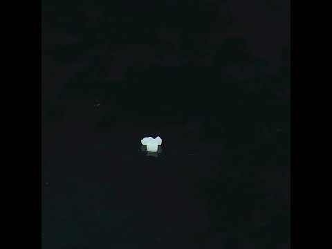 YouTube 썸네일