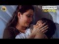 Thaamarakkannan | 1080p | Valsalyam  | Mammootty | Geetha | Siddique |  Central Talkies