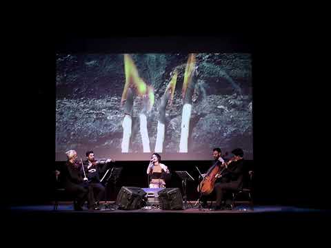 Anadolu Quartet - Dîjloka min