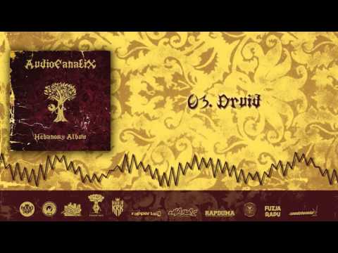 03. AudioFanatiX - Druid