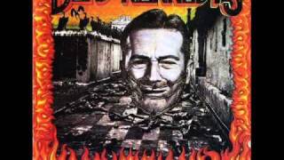 Dead Kennedys - Night of the Living Rednecks