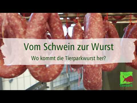 Vom Schwein zur Wurst