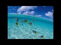 KMC Feat. Sandy - Get Better (Vision Extended ...