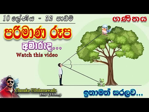 maths - Grade 10 - lesson 32 - පරිමාණ රූප - sinhala medium